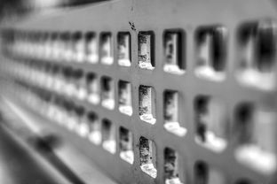 AC MILANSPORTS-运动康复技术在青少年体能提升中的应用研究,运动康复体系 第2张 AC MILANSPORTS-运动康复技术在青少年体能提升中的应用研究,运动康复体系 第2张