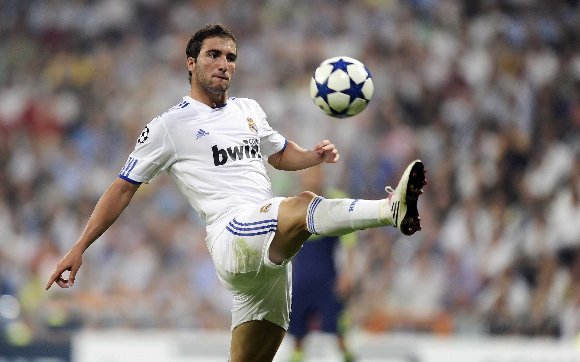 城市公园越野赛 泥泞林道成为大众跑者新宠